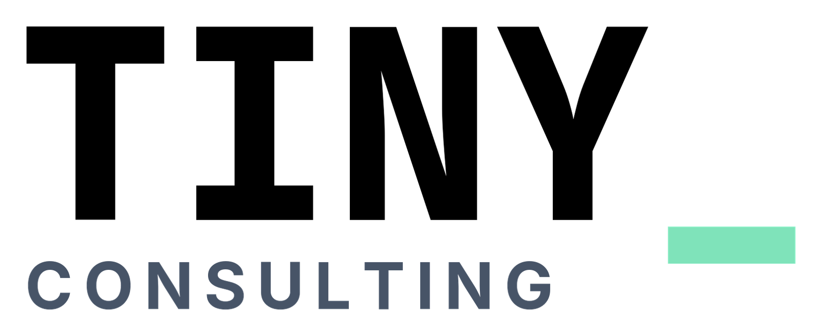 TINY_ Consulting
